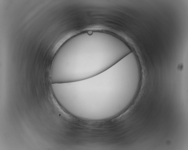 X0000115721329200911121054