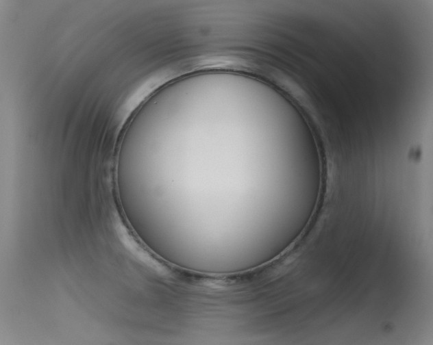 X0000115721330200911121054