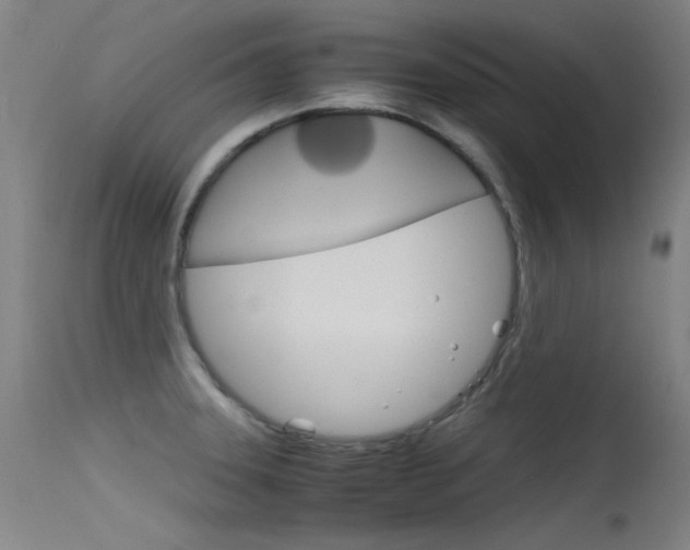 X0000115721331200911121054
