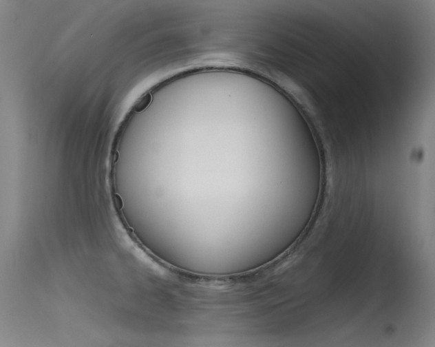 X0000115721334200911121054