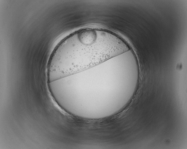 X0000115721335200911121054