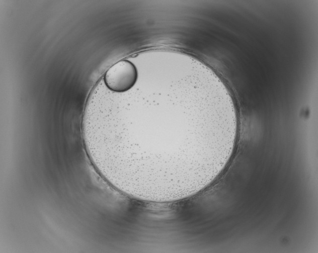 X0000115721338200911121054