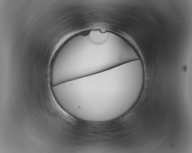 X0000115721339200911121054