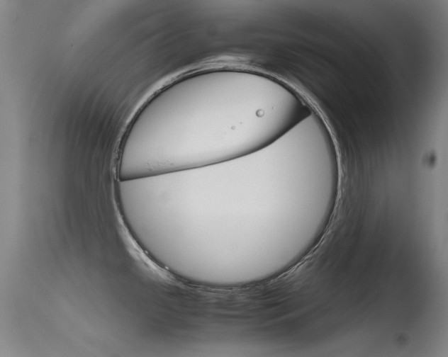 X0000115721341200911121054