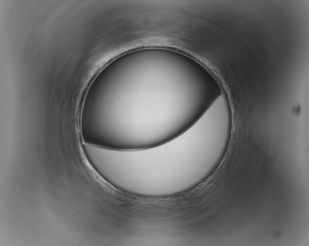 X0000115721342200911121054