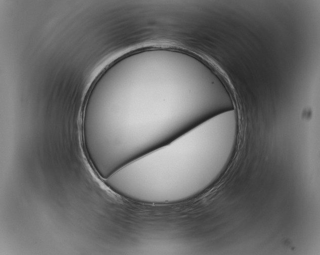 X0000115721343200911121054