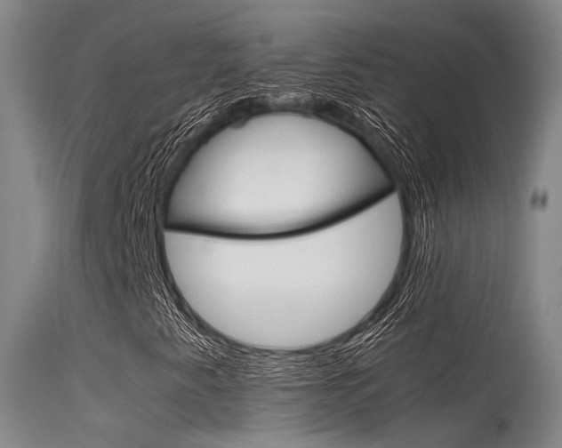 X0000115721345200911121053