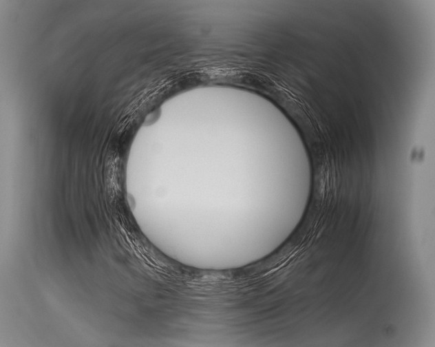 X0000115721346200911121053