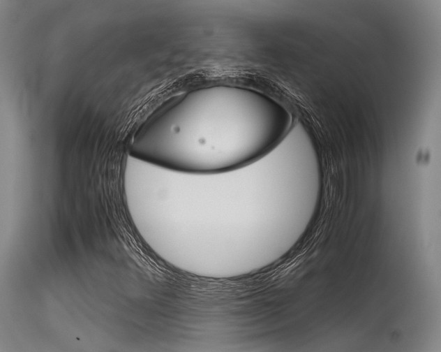 X0000115721348200911121053
