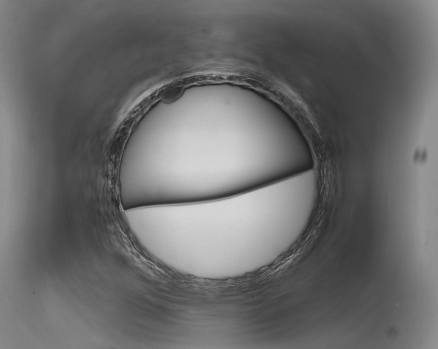 X0000115721352200911121053