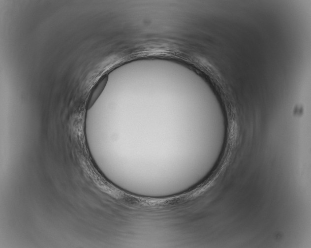 X0000115721353200911121053