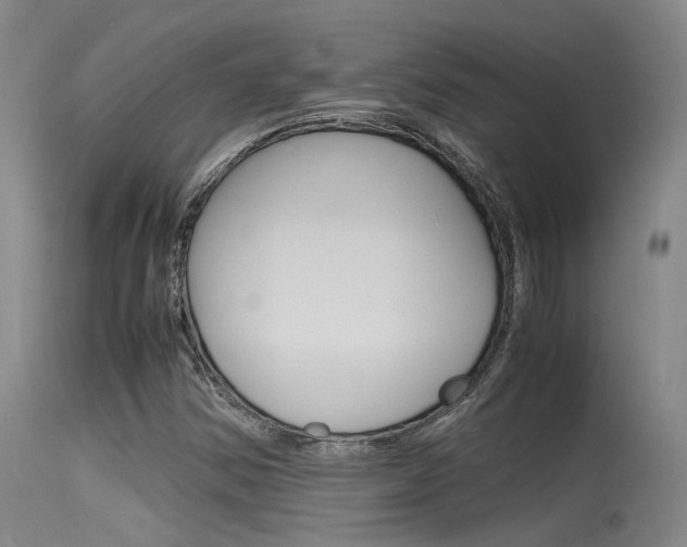 X0000115721354200911121053