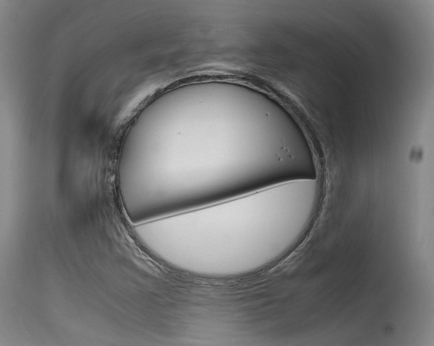 X0000115721355200911121053