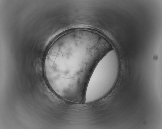 X0000115721356200911121053