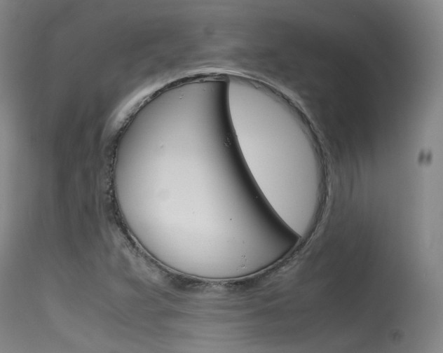 X0000115721359200911121053