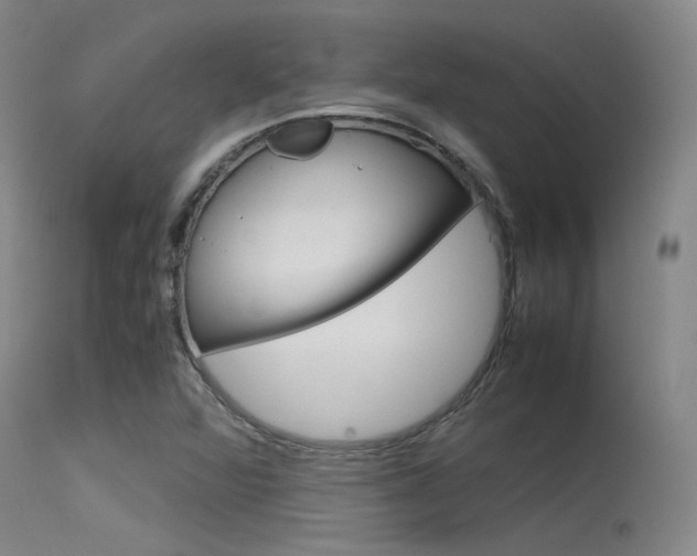 X0000115721360200911121053