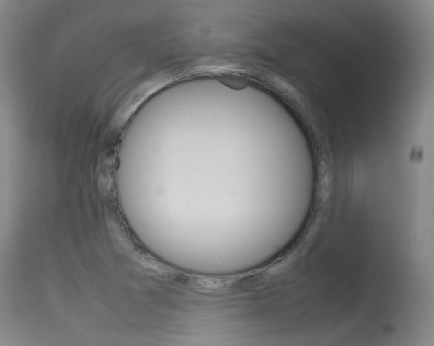 X0000115721361200911121053