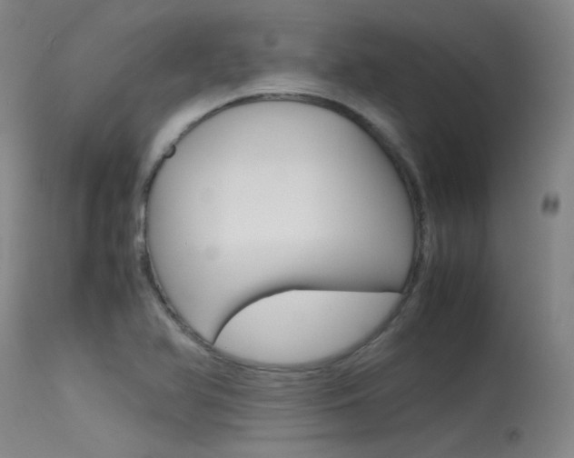 X0000115721366200911121053