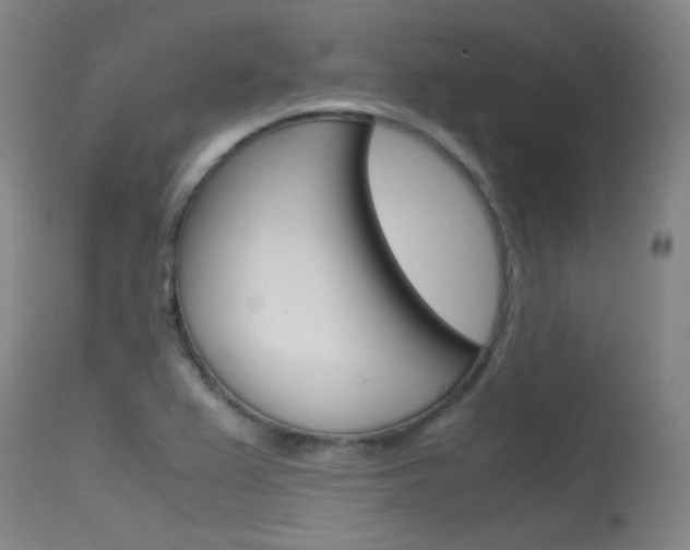 X0000115721367200911121053