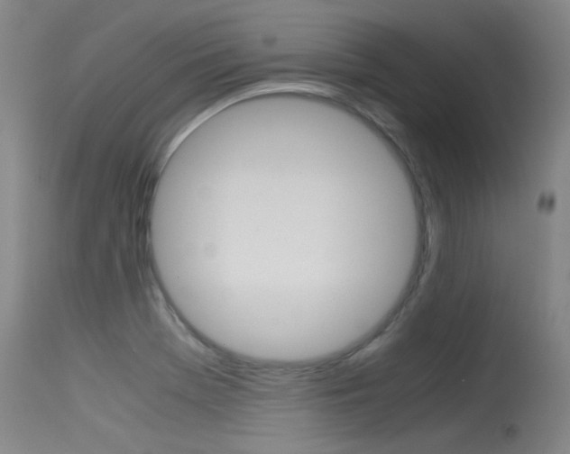 X0000115721369200911121053