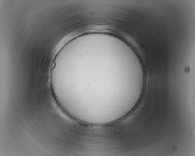 X0000115721370200911121053