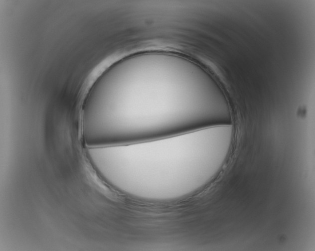 X0000115721371200911121053