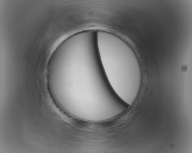 X0000115721375200911121053