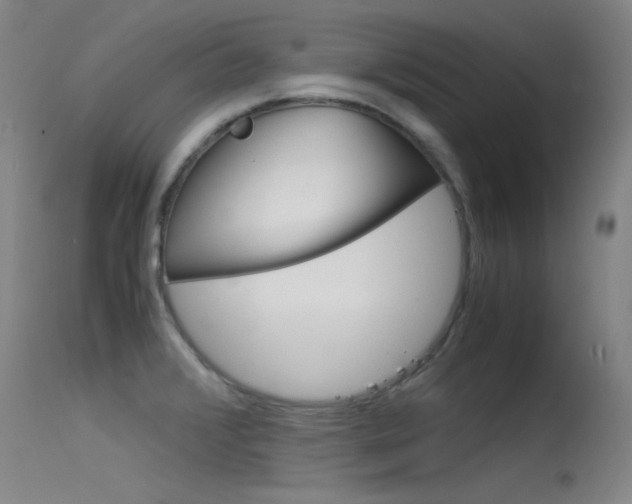 X0000115721376200911121053