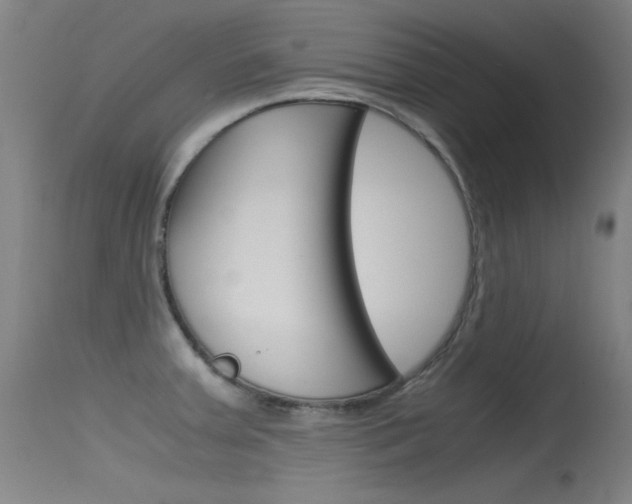X0000115721379200911121053