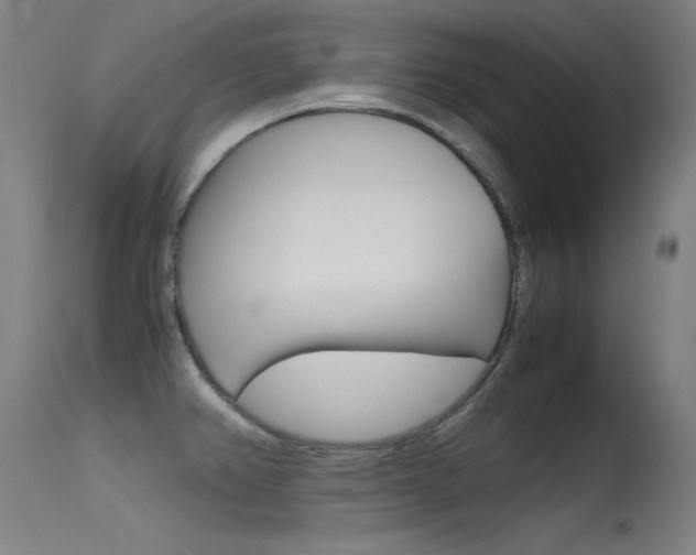 X0000115721382200911121053