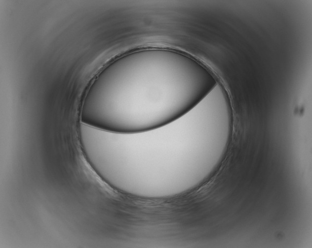 X0000115721384200911121053