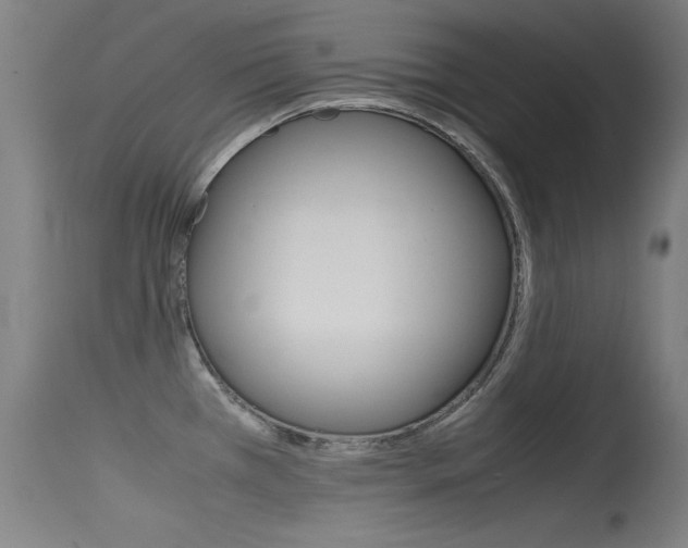 X0000115721385200911121053