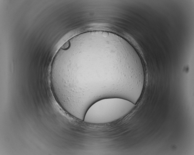 X0000115721386200911121053