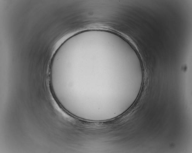 X0000115721387200911121053