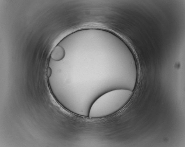 X0000115721390200911121053