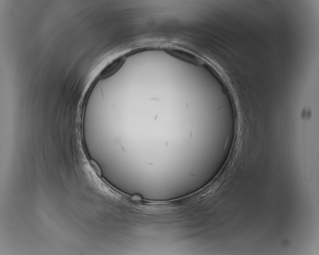 X0000115721392200911121053