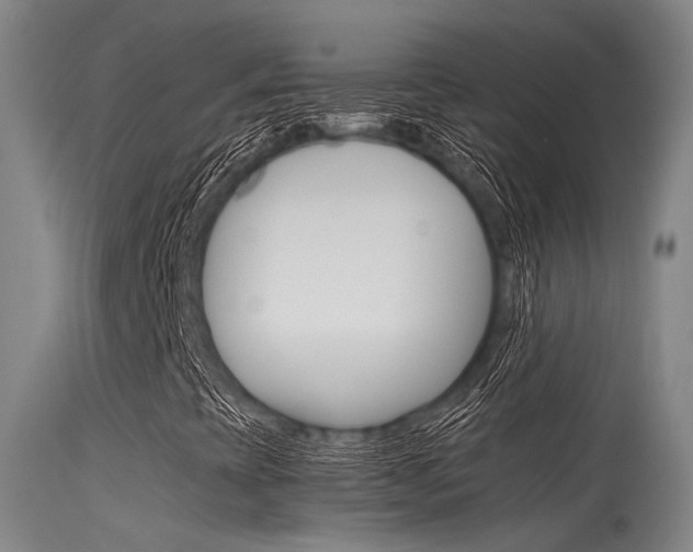 X0000115721393200911121052