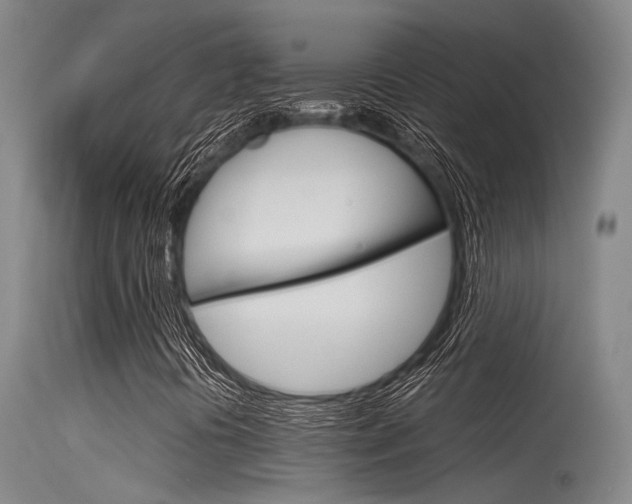 X0000115721394200911121052