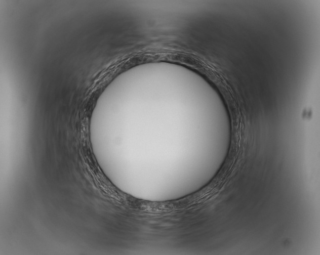 X0000115721397200911121052