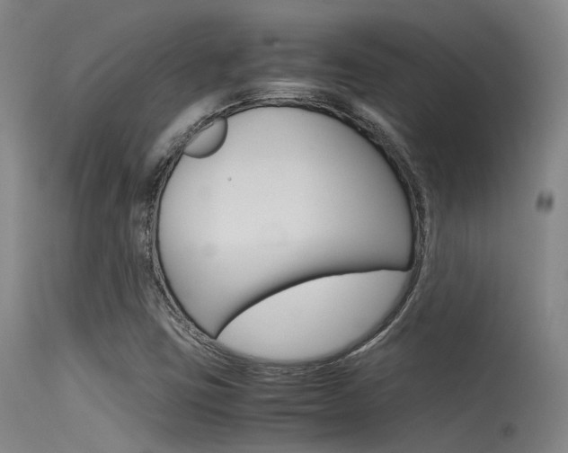 X0000115721403200911121052