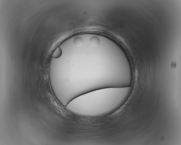 X0000115721405200911121052