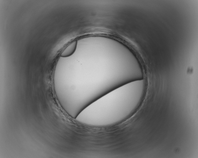 X0000115721407200911121052