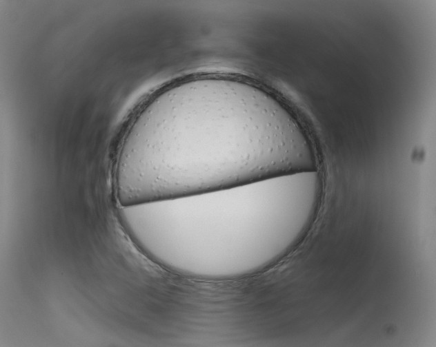 X0000115721408200911121052