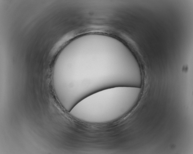 X0000115721411200911121052