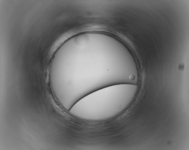 X0000115721413200911121052