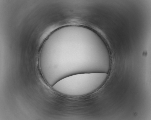 X0000115721415200911121052