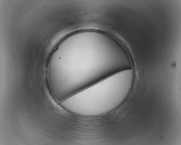 X0000115721416200911121052