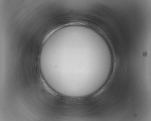 X0000115721417200911121052