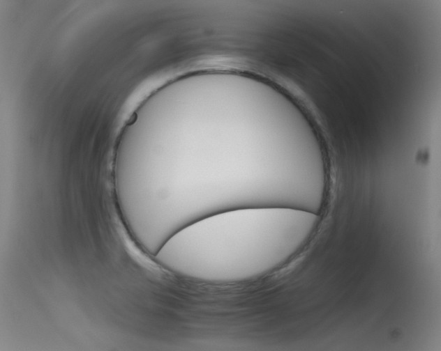 X0000115721421200911121052