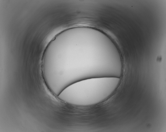 X0000115721423200911121052